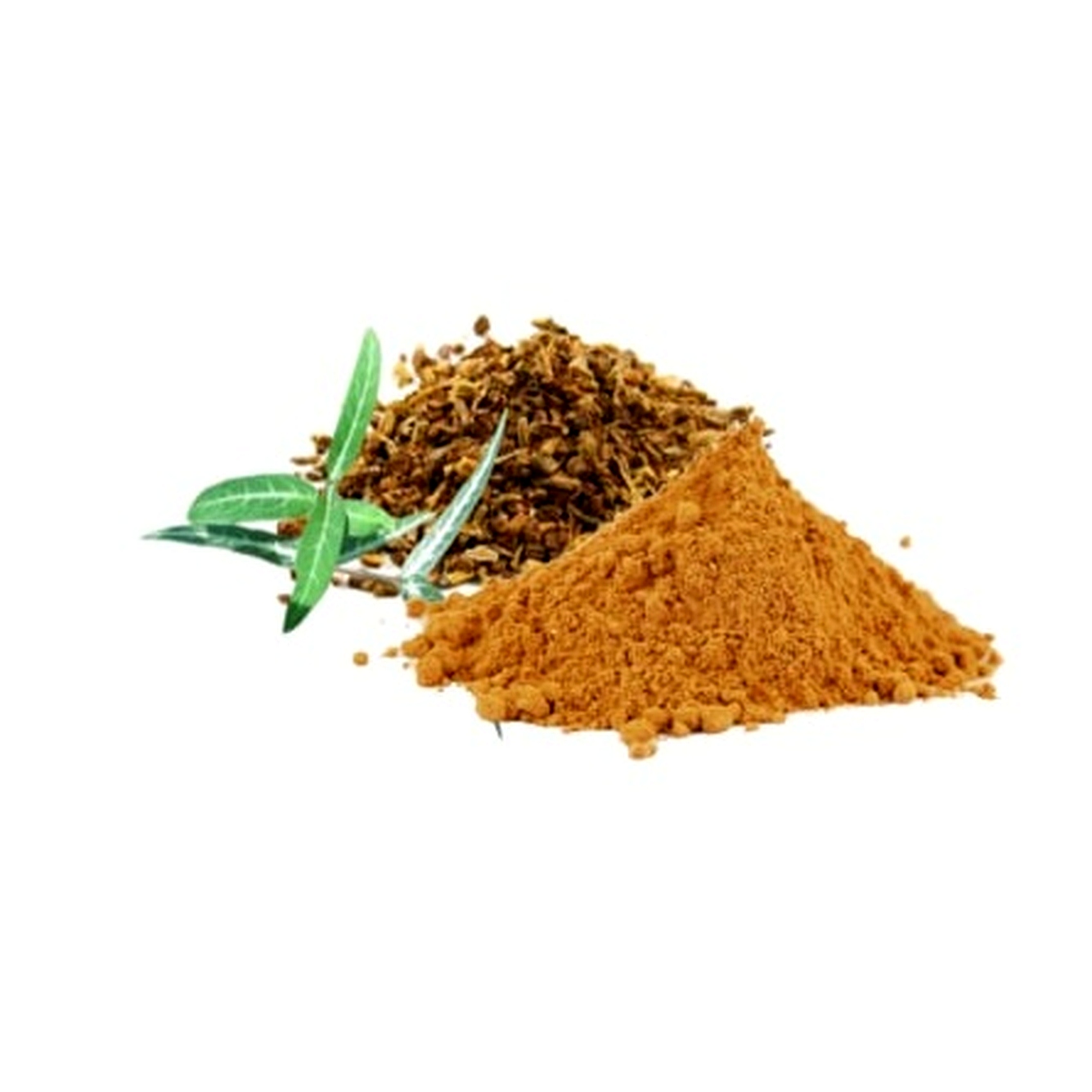 Indian Sarsaparilla